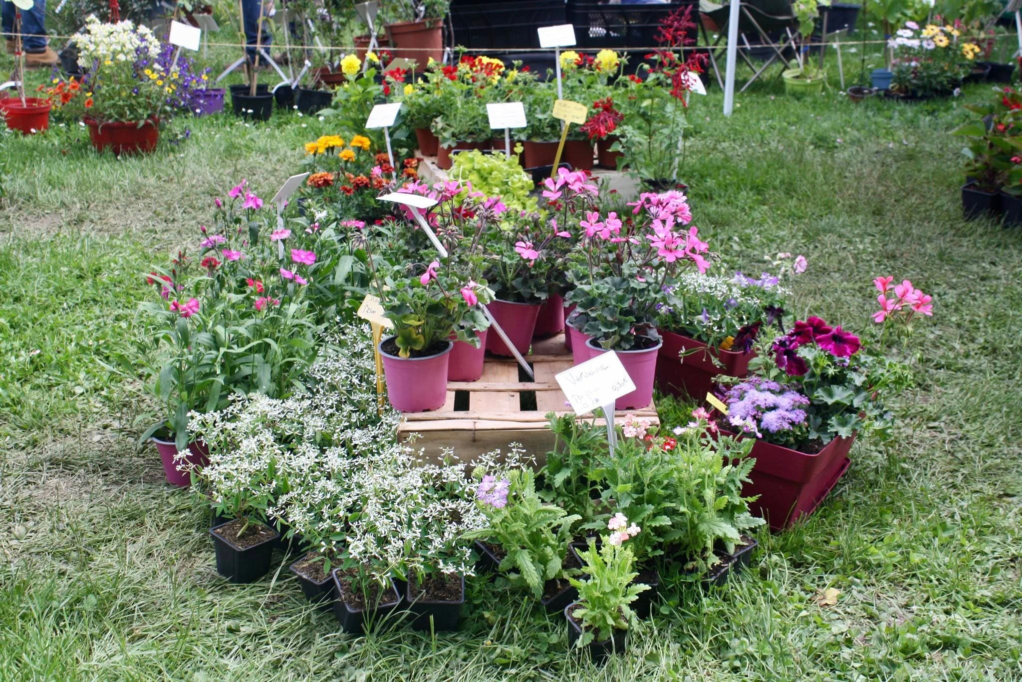 Ambiance de la Fête des Plantes à Barbirey-sur-Ouche