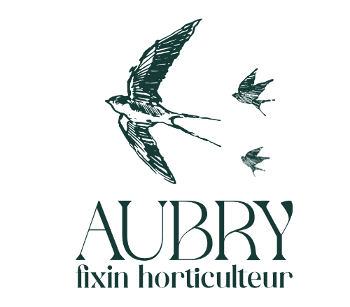 Aubry