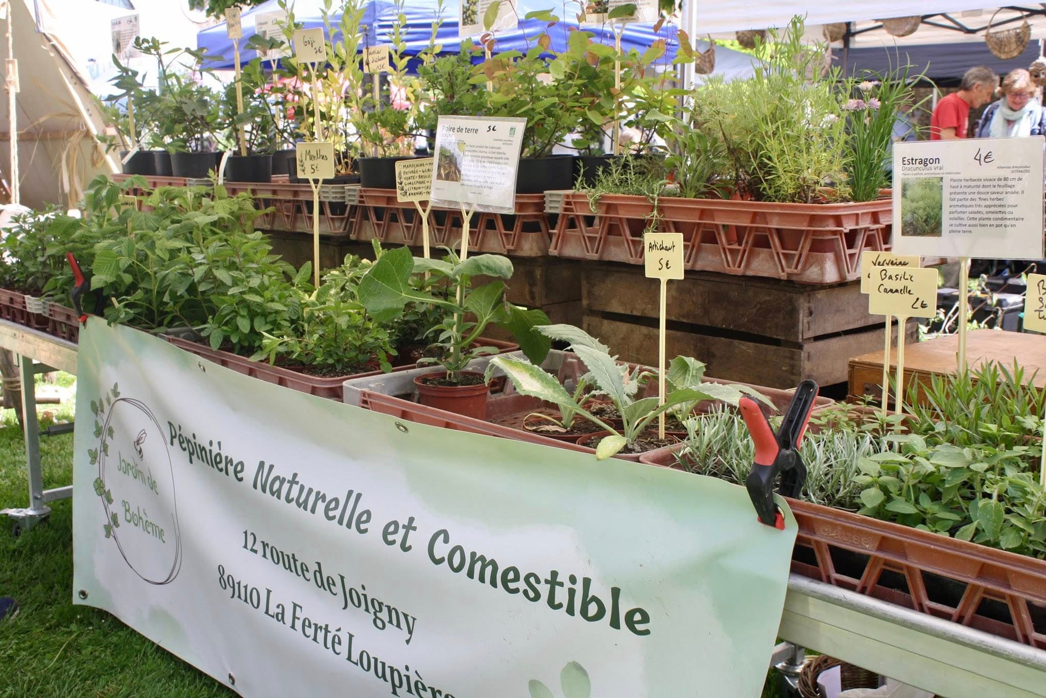 Photo 3 — Fête des Plantes