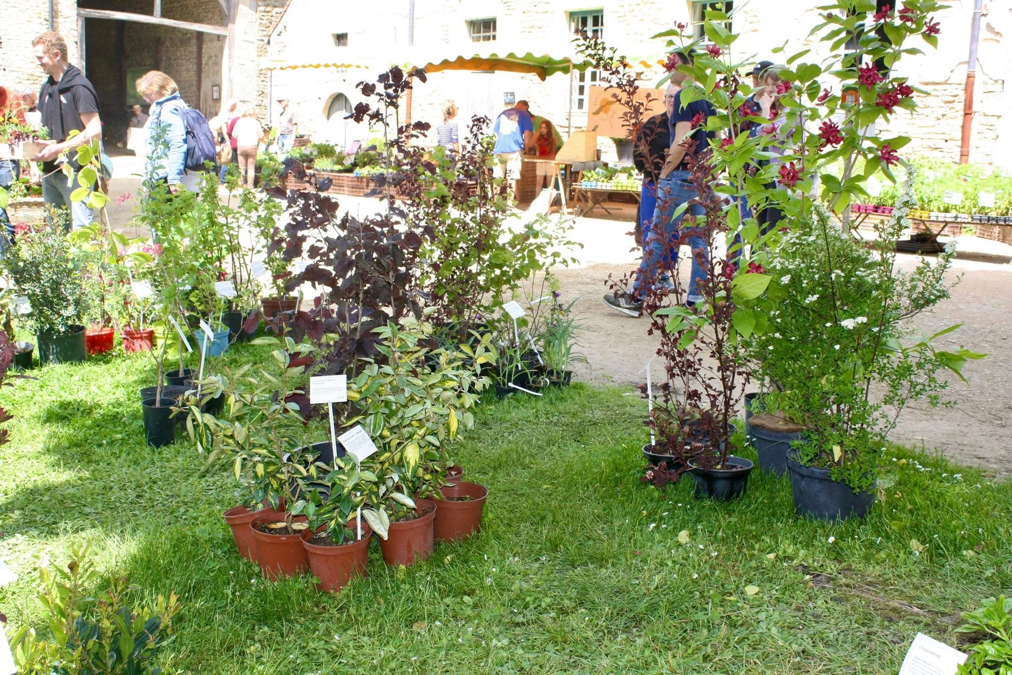 Photo 4 — Fête des Plantes